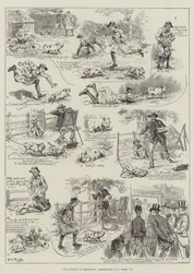 完璧の罰、モデル豚の経験